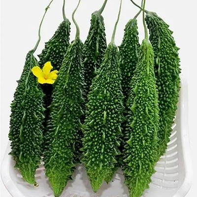 SREE bitter guard seed, korola, bitter guard Seed(30 per packet)
