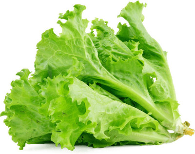 Pbevergreen Lettuce Seed(260 per packet)