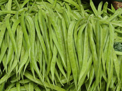 CHILLATAI Cluster Bean Seed(50 per packet)