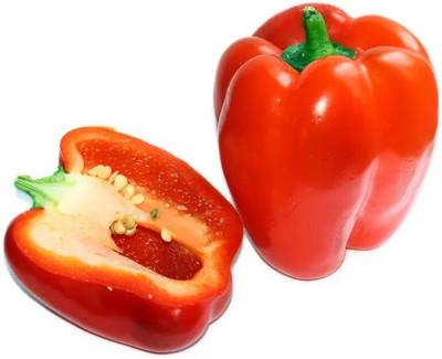 Quentova BIG RED Bell PEPPER Sweet Capsicum-2B-VDI Seed(100 per packet)