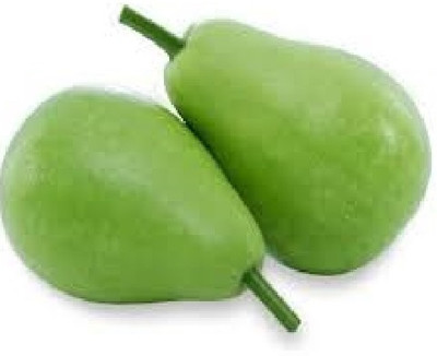 wequality Hybrid Round bottle gourd/Louki seeds for home plant Seed(80 per packet)