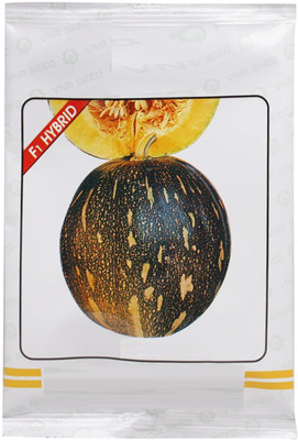 CYBEXIS LX-13 - F1 Hybrid Pumpkin - (100 Seeds) Seed(100 per packet)