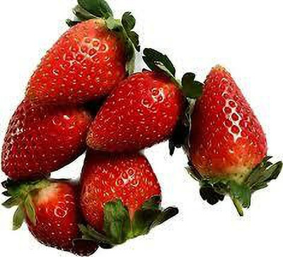 XOLDAA XOLDAA F1quality hybrid strawberry seeds Seed(70 per packet)