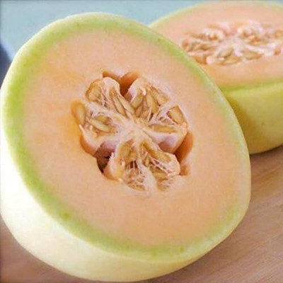 Qualtivate PUA-1A Melon Honeydew Orange (Orange) Seed(200 per packet)