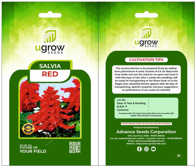Clint AGRIMAX GARDENS RED SALVIA SEEDS SALVIA FLOWERS SALVIA SEEDS & PLANT Seed(40 per packet)