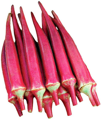 CYBEXIS Non-GMO Outdoor Red Okra Seeds 1600 Seeds Seed(1600 per packet)