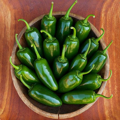 CYBEXIS Good Germination Organic Jelepeno Chilli Pepper Seeds2400 Seeds Seed(2400 per packet)