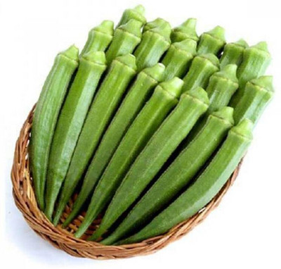 VAN OUSI hybrid bhindi / okra seed highest yield variety early fruiting Seed Seed(250 per packet)