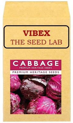 CYBEXIS Cabbage Red Hybrid Seeds500 Seeds Seed(500 per packet)
