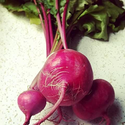 MAA Turnip, Shalajam Seed(30 per packet)