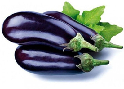 Avysa Brinjal Seed(800 per packet)