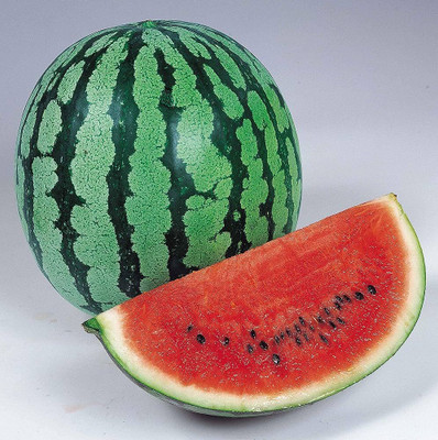 BDSresolve green watermelon seeds/Watermelon seed 59 Seed(59 per packet)