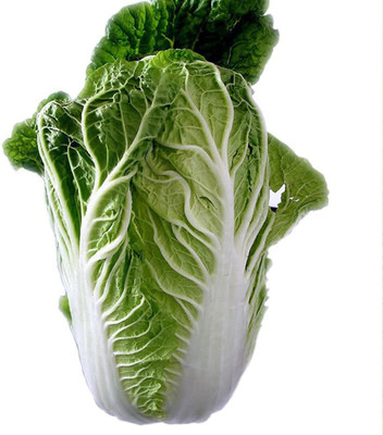Aywal Heirloom Chinese cabbage Seed(25 per packet)