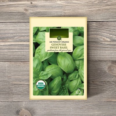 CYBEXIS PAU-96 - Certified Genovese Sweet Basil - (4500 Seeds) Seed(4500 per packet)