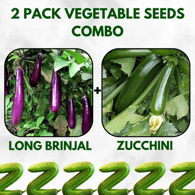 Infiniteseeds 2 Pack Combo Of Long Brinjal And Zucchini Vegetable Seeds Seed(50 per packet)