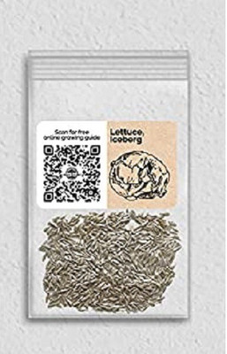 VibeX PUAS-94 - Iceberg Lettuce - (1350 Seeds) Seed(1350 per packet)