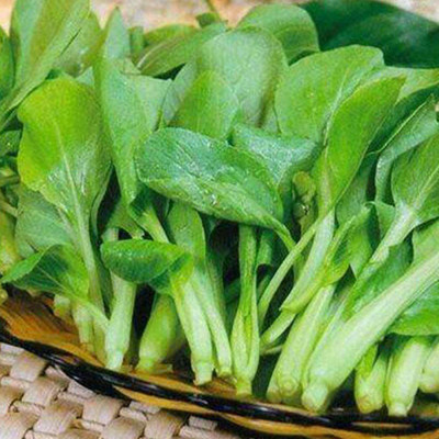 CYBEXIS Heirloom Spinach seeds rich in vitamins2000 Seeds Seed(2000 per packet)