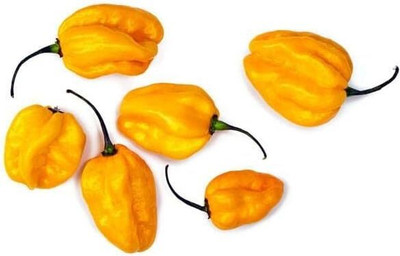 Qualtivate RES-5A Yellow Habanero Pepper Chilli Seed(300 per packet)