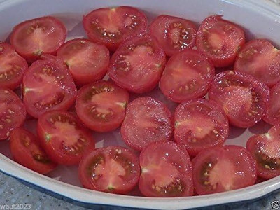 Biosnyg Organic Campari Tomato Vegetable Seeds for Garden - (2000 Seeds) Seed(2000 per packet)