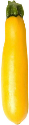 WILLVINE Rare American Zucchini Banana-[20 Seeds] Seed(20 per packet)