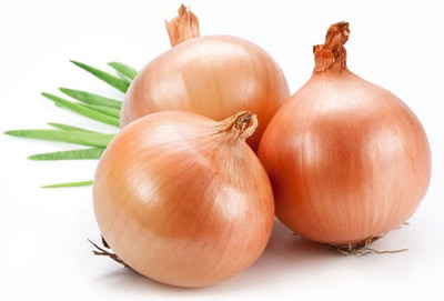 WILLVINE KGF -VI Sweet Yellow Spanish Onion [100g] Seed(300 per packet)