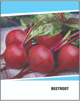 CYBEXIS Hybrid Beetroot Seeds(1000 Seeds) Seed(1000 per packet)