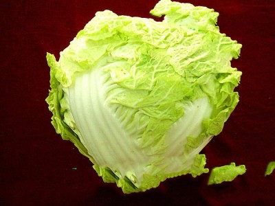 CYBEXIS Organic Chinese Cabbage/Fresh Food Sweet Seeds 2000 Seeds Seed(2000 per packet)