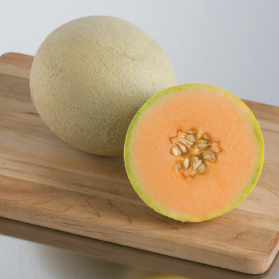 PLUSGREEN Super Choice Musk Melon Seed(60 per packet)