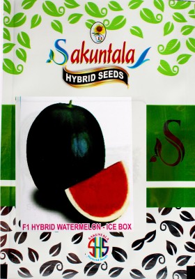 Sakuntala Hybrid Seeds F1 Watermelon Seeeds F1 Hybrid Watermelon Seeds F1 Ice Box Watermelon Hybrid Seed(50 per packet)