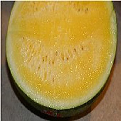 CYBEXIS ATS-33 - Yellow Crimson Watermelons - (150 Seeds) Seed(150 per packet)