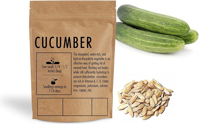 Qualtivate HUA-6A F1 Hybrid Cucumber SEEDS Seed(300 per packet)