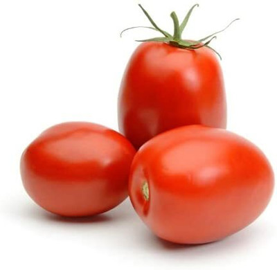 CYBEXIS Tomato Seeds Roma VF -250 Seeds Seed(250 per packet)