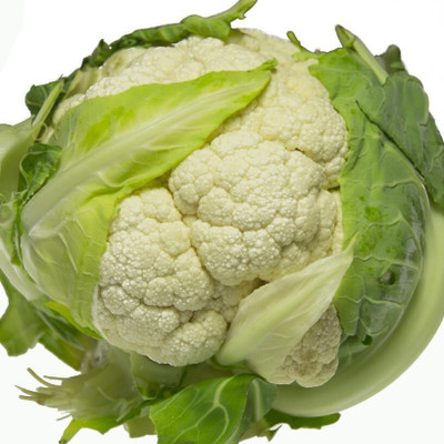Quentova Phool Gobhi Cauliflower-22U-KWI Seed(300 per packet)