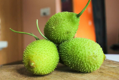 BHUSAN hybrid kakoda seeds/kantola seeds 8 Seed(8 per packet)