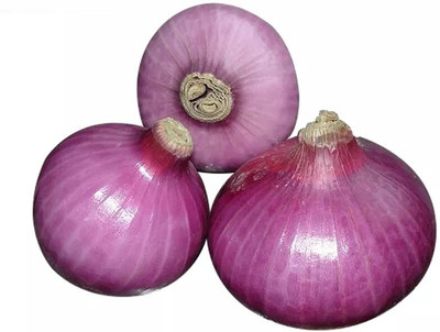 Quentova Nasik Onion-RXI-6V Seed(200 per packet)