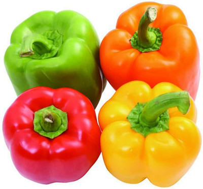 CYBEXIS Capsicum Rainbow Sweet Pepper Seeds 2400 Seeds Seed(2400 per packet)