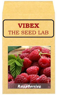 CYBEXIS Heirloom Raspberries Seed(400 per packet)