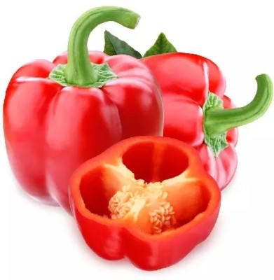 VASUDHA Organic Red Capsicum Seed(100 per packet)