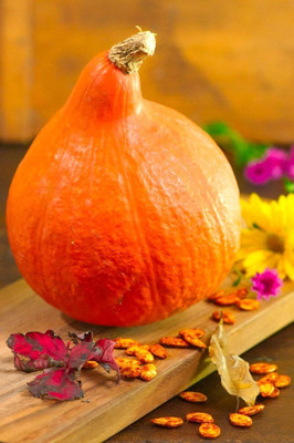 KNESSiN Organic Oriental Hubbard Squash Summer Seeds For Gardening - (100 Seeds) Seed(10 per packet)