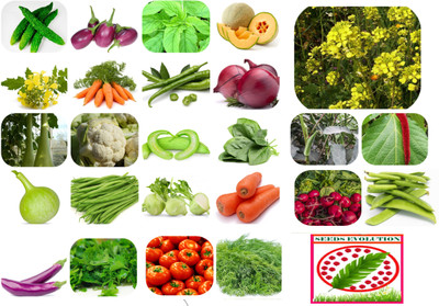 SEEDS EVOLUTION 25 vegetsble plant seeds combo pack with instruction manual seed Seed(2000 per packet)