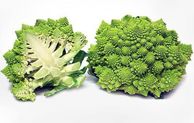 WILLVINE TLX-604 Broccoli Romanesco Seeds Seed(200 per packet)