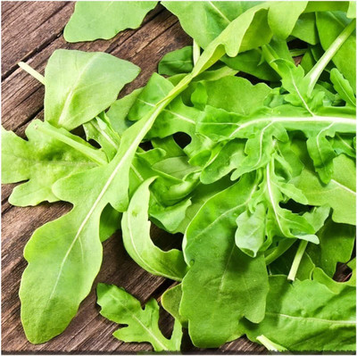 CYBEXIS LX-64 - Arugula Wild Rocket Rucola Selvatica - (2250 Seeds) Seed(2250 per packet)