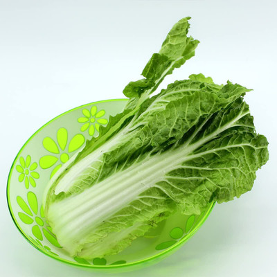 WILLVINE VMR -VII Vegetable Chinese Cabbage Seeds [10g] Seed(3000 per packet)