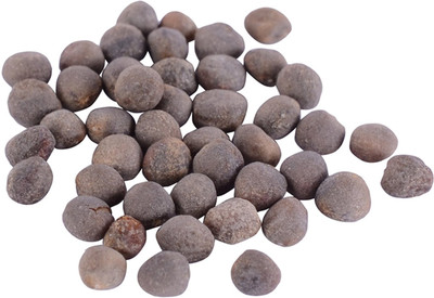 KNESSiN Broccoli Quality Seeds Seed(200 per packet)