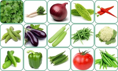 CRGO 15 variety vegetable seeds combo pack with instruction manual Seed(2200 per packet)