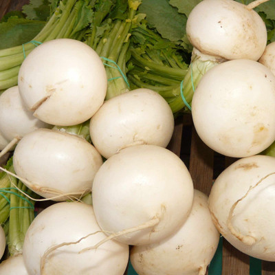 Flipkart SmartBuy Turnip White Seed(25 per packet)