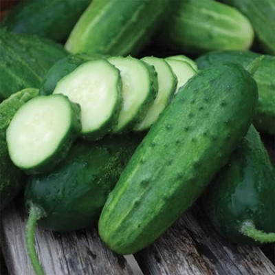 CRGO CUCUMBER , KHEERA Seed(100 per packet)