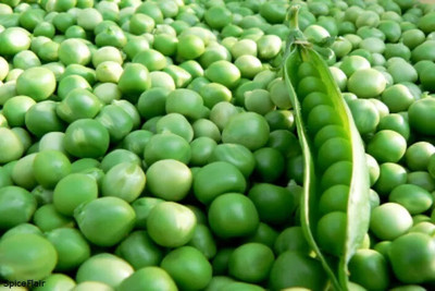Cloud Farm Green Matar Peas Seed(500 per packet)