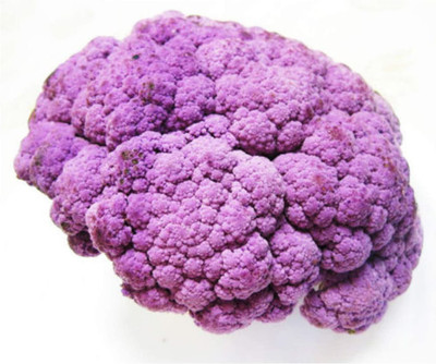 CYBEXIS Good Germination Purple Cauliflower Seeds2000 Seeds Seed(2000 per packet)