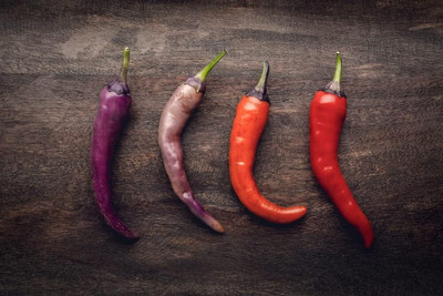 Biosnyg Open-Pollinated Buena Mulata Pepper Seeds for Home Gardening-(2000 Seeds) Seed(2000 per packet)
